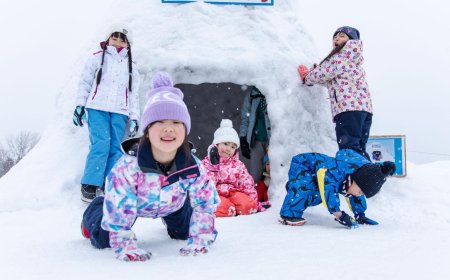 日本札幌「羊之丘雪地公園 2026」開展   免帶裝備在巿郊就能玩雪