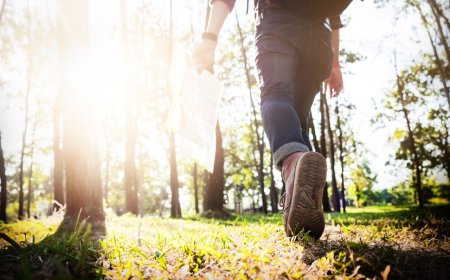 用「吸引力法則」讓錢越來越多　5個方法開啟富足模式