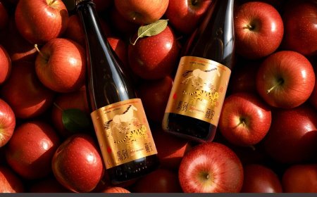 臺虎推「香檳蘋果酒」圍爐解膩　可口可樂馬年瓶超商第2件6折