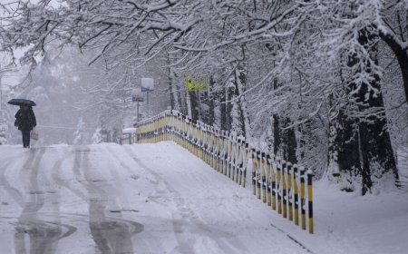 歐洲遭強風大雪侵襲港口與交通受阻　赫伯羅德、德迅發警訊