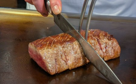 台灣唯一販售「福井三星若狹牛」　JR東日本2/9前限時供應