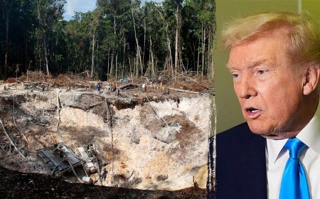 Expert warns of 'extreme violence' in Venezuelan mining as Trump admin eyes mineral reserves