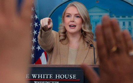 US used sonic weapon on Venezuelan troops, report shared by Leavitt claims