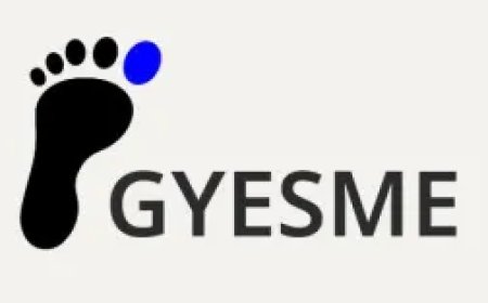 GNOME的一个以设计为主导的全新下游平台GYESME正在酝酿中