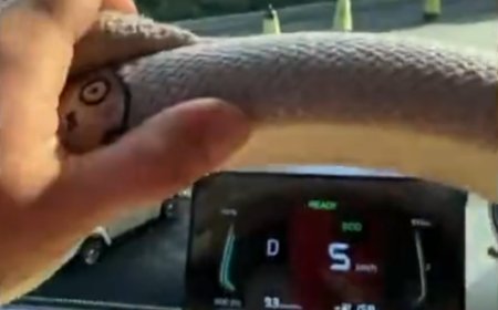 女车主买知豆电动车故障不断：踩电门不走、遮阳板脱落 4S店还关门了