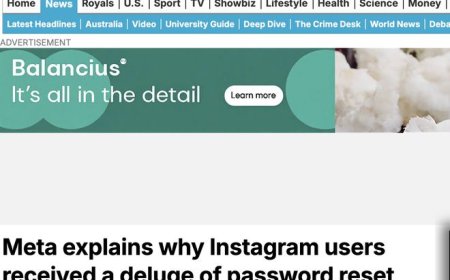 Meta澄清Instagram“密码重置风暴”：因系统漏洞所致 未发生数据泄露