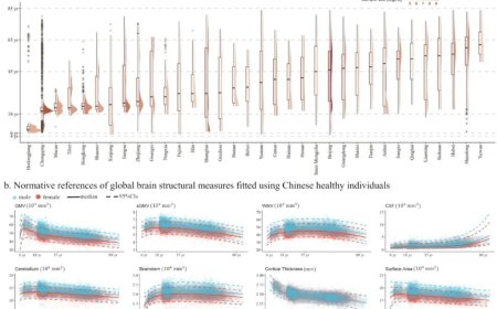 首个中国人群全生命周期脑图表成功构建，确定 228 项指标的正常参考范围