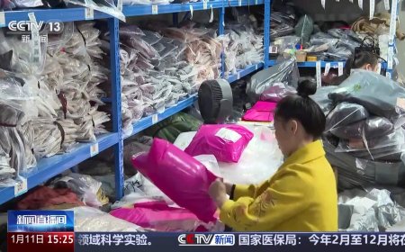 买家 5 个月 21 次网购退货调包，商家损失近千元起诉维权