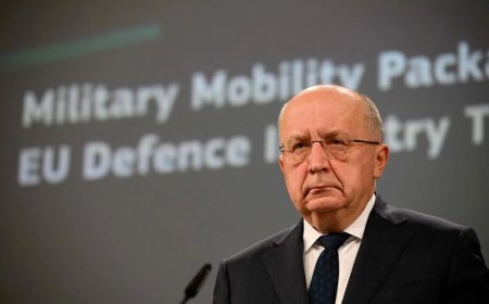 欧盟高官：如丹麦请求 欧盟可为格陵兰岛提供安全支持