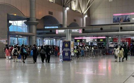 “前所未见技术问题”造成新山自动通关系统故障