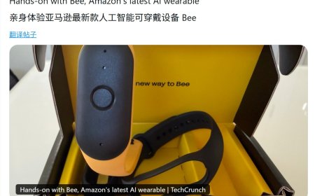 外媒初探亚马逊 AI 穿戴设备 Bee：它想做你的“第二大脑”