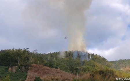 古坑石壁大飯店後方山林火警　延燒2天「毀5公頃」出動直升機滅火