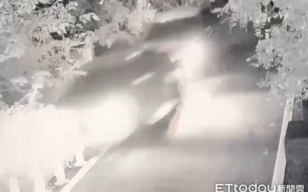 懷疑他毒死愛犬！女縱火燒前男友工寮　反被開車撞飛墜谷險死