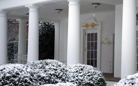 委临时总统派特使 拟与反对派马查多同日访问华府