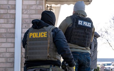 People filming ICE raids are being used as ‘tools’ by Trump administration, MS Now reporter claims