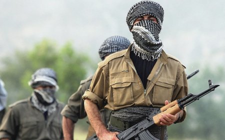 Armed Kurdish fighters try to breach Iran border as regional threat grows amid protests: reports