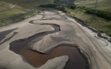 世界气象组织：2025年是有记录以来最热的三个年份之一