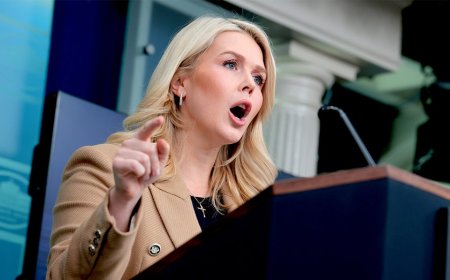 Leavitt clashes with journalist over Renee Good, calls him 'left-wing activist' in tense WH briefing exchange