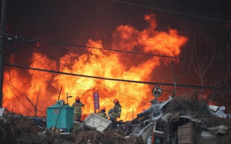 首尔江南贫困区大火 首尔出动近300消防员扑救