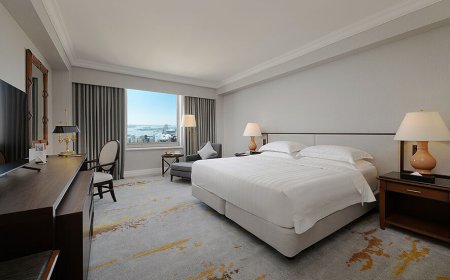 住高雄五星飯店送漢來熊小提燈　再享免費接駁直達冬日遊樂園