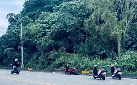 猴群集體出遊衝路中！機車女騎士急閃自摔　人傷車損有夠慘