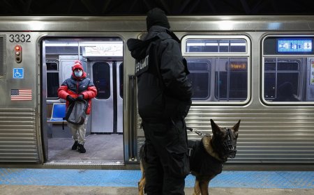 Suspect accused of killing sleeping passenger on Chicago train filmed himself carrying out attack: prosecutors