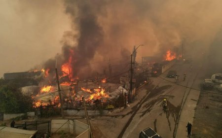 智利宣布进入灾难状态 山火已造成16人死亡