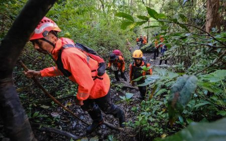 印尼寻获失踪巡逻飞机残骸 加紧搜寻机上11人