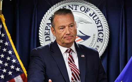 Acting ICE director defends agency's focus on targeting criminal illegal aliens, details threat to agents