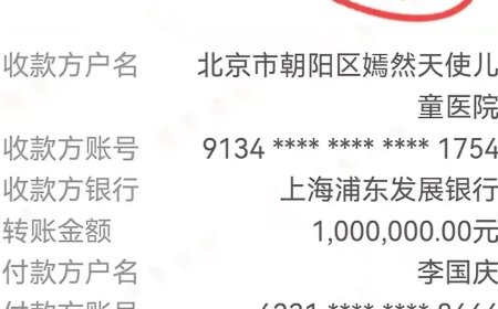 100万到账 李国庆驰援李亚鹏 嫣然儿童医院筹款破1600万