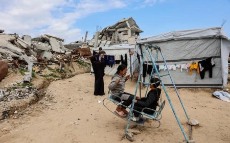 美国邀请多国领导人加入和平委员会