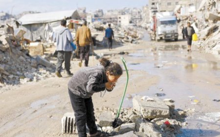 美国公布加沙“和平委员会”名单，巴以都不满