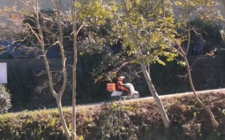 一座城仅有一名外卖骑手 他是中国最孤独的城市骑士