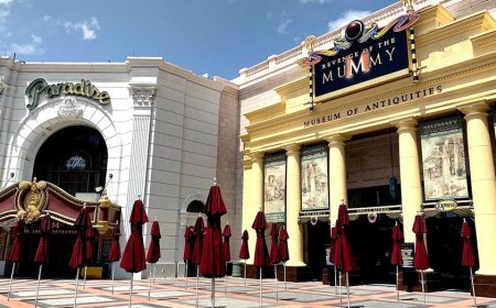 Cause of death revealed weeks after woman died following Universal Orlando ride: report