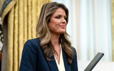 Former Trump lawyer accuses federal judge of making 'baseless accusations of lying' after departure