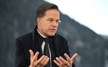 北约秘书长：与特朗普谈格陵兰未涉主权问题