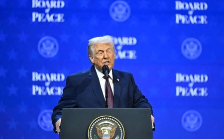 特朗普在达沃斯签署“和平委员会”章程