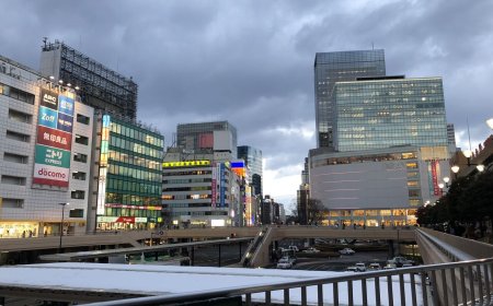 東京、大阪輸了！他狂推「日本1城市」便宜又方便：賞櫻直接包場