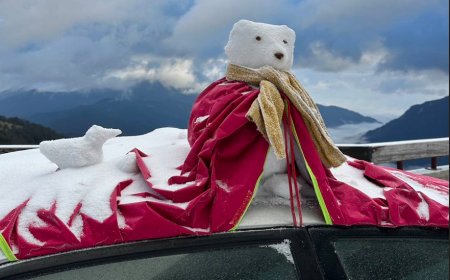 冷氣團發威！合歡山降冰霰銀白世界美翻　民眾堆「紅披風雪熊」