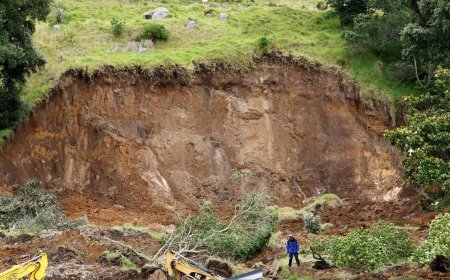 新西兰山体滑坡 六名失联人员几无生还希望
