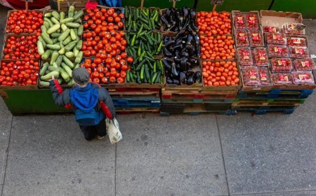 美国消费者信心指数上涨 高物价成为沉重负担