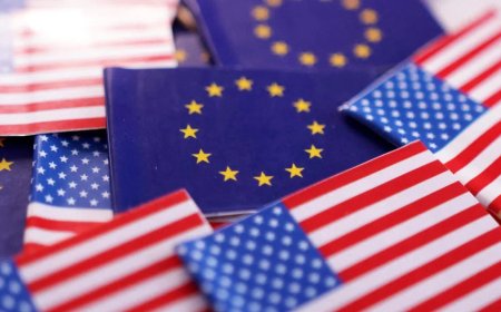 欧盟内部文件质疑特朗普和平委员会权利分配