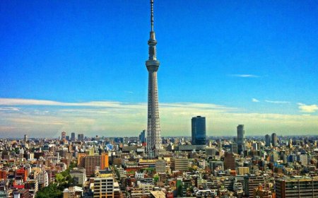 大學畢業領4萬！老媽突襲租屋「開冰箱傻住」　1袋豆芽菜當好幾餐