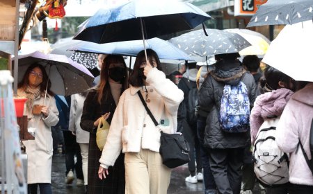 探12℃！　2波冷空氣接力