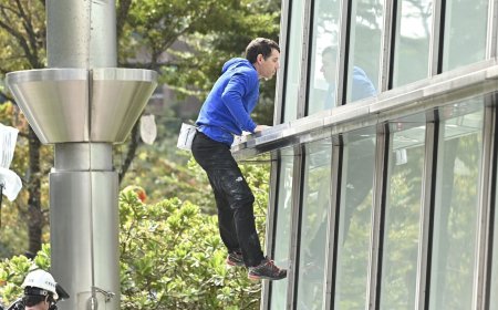 霍諾德今早再戰101　氣象署估「降雨機率20%」：塔頂低溫14度