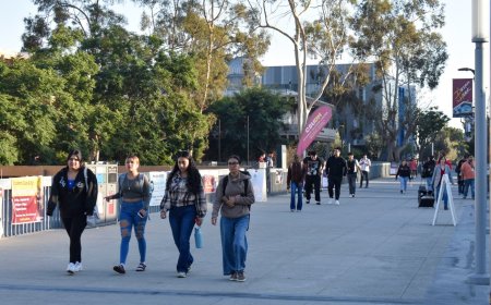 CSU agrees to notify faculty before disclosing personal information