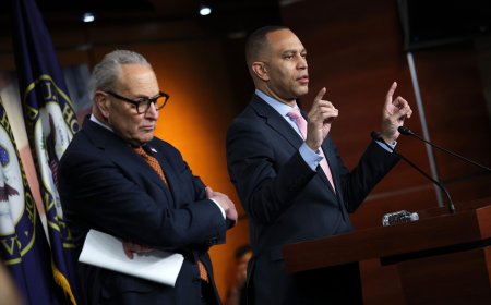 In response to the Renee Good killing, Dems propose ICE reforms that would have done nothing to prevent the Renee Good killing