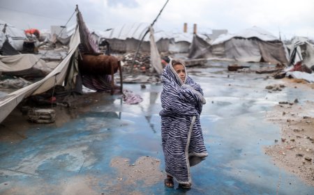 ‘We are still living in a selective ceasefire’: Gaza, 2026