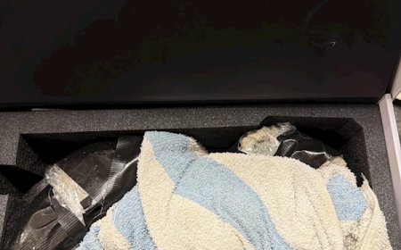 网购RTX 5090 到手却是浴巾裹石头