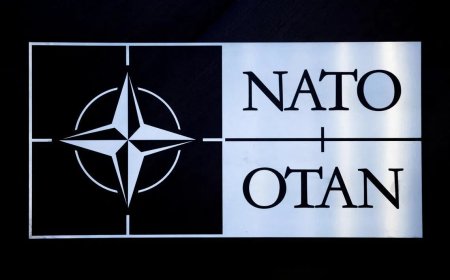 北约打造AI防线 巩固欧洲对俄防御